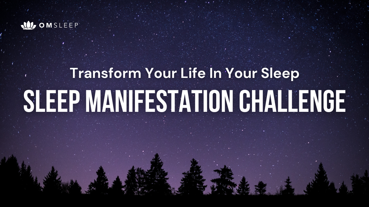 Welcome to the Sleep-Manifestation Challenge!